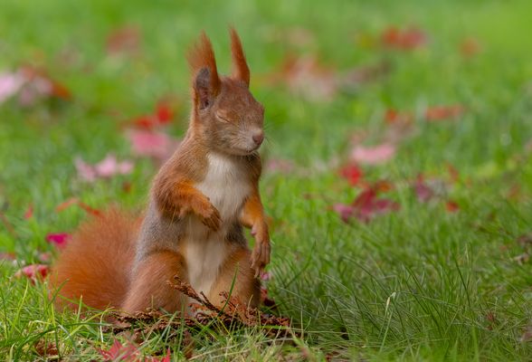 Nur ein bisschen Dösen......