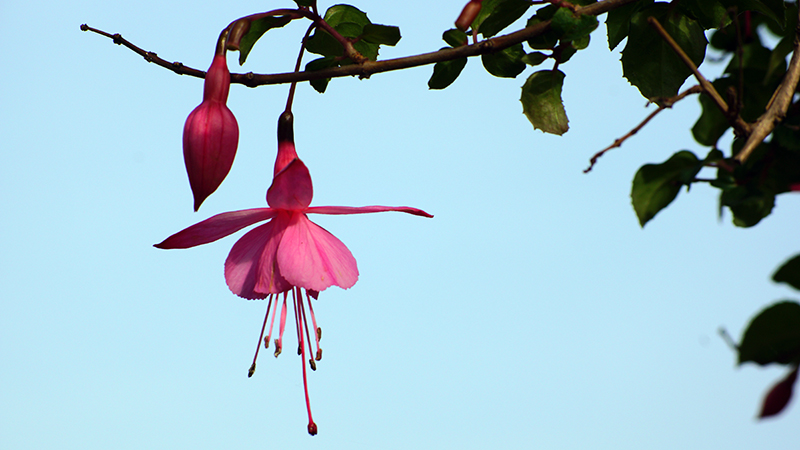 Nur ein bißchen Farbe