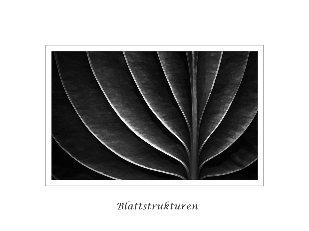 Nur ein Blatt