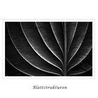 Nur ein Blatt