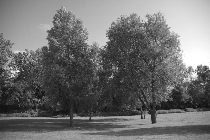Nur ein Einfaches Bild Foto & Bild | landschaft, wege und pfade, natur