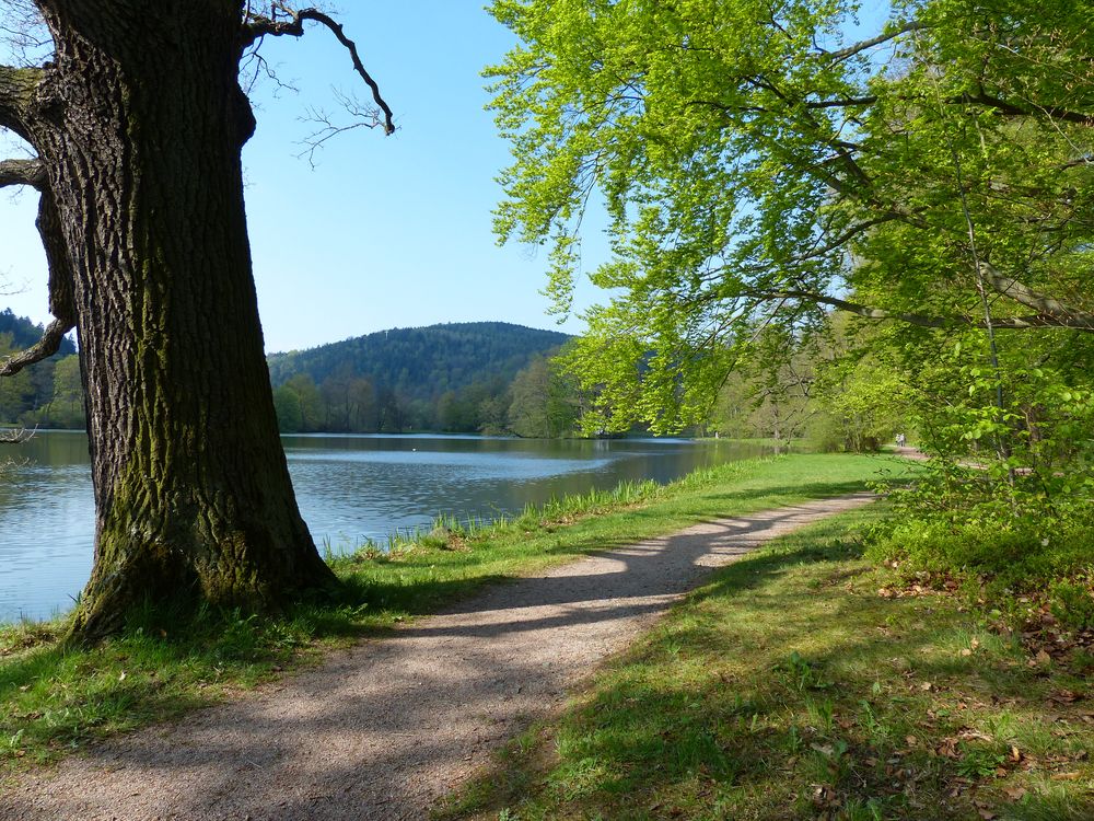 Nur ein einziger Weg