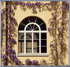 ..nur ein Fenster..