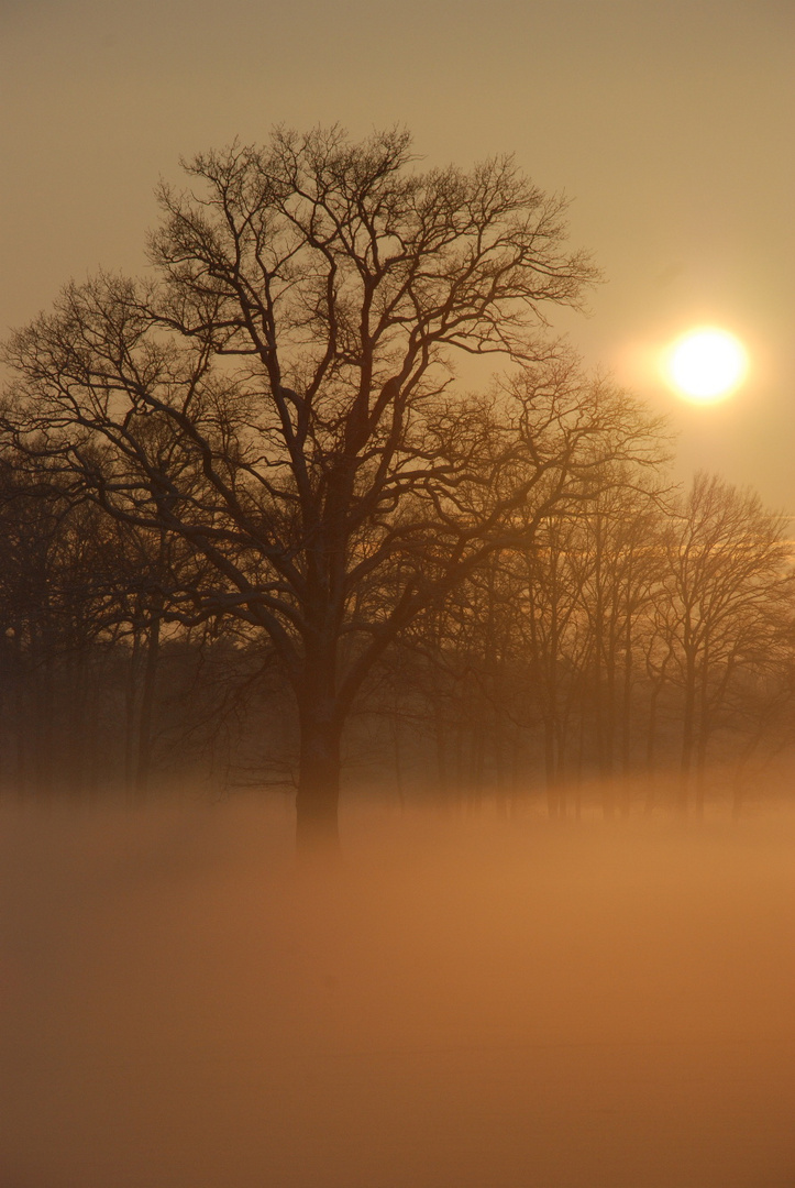 Nur ein ganz kleiner Moment im Dezember 2010.