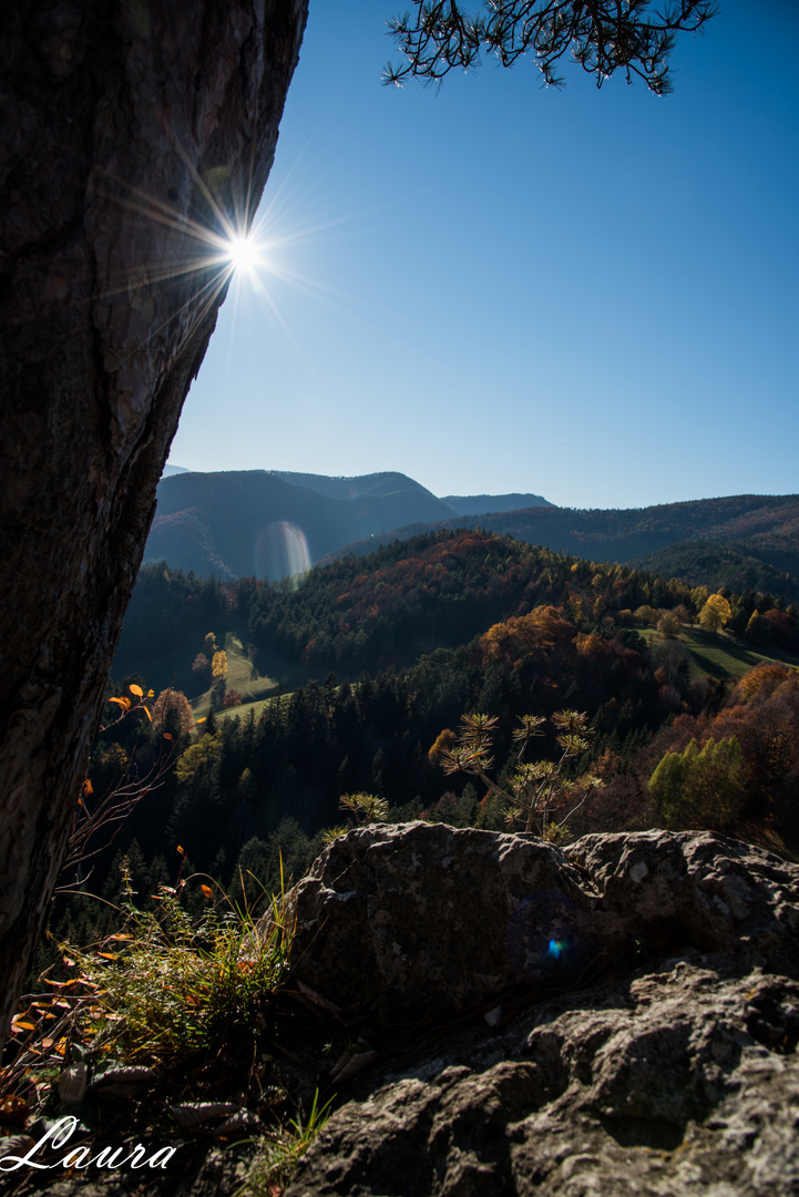 Nur ein Herbsttag 