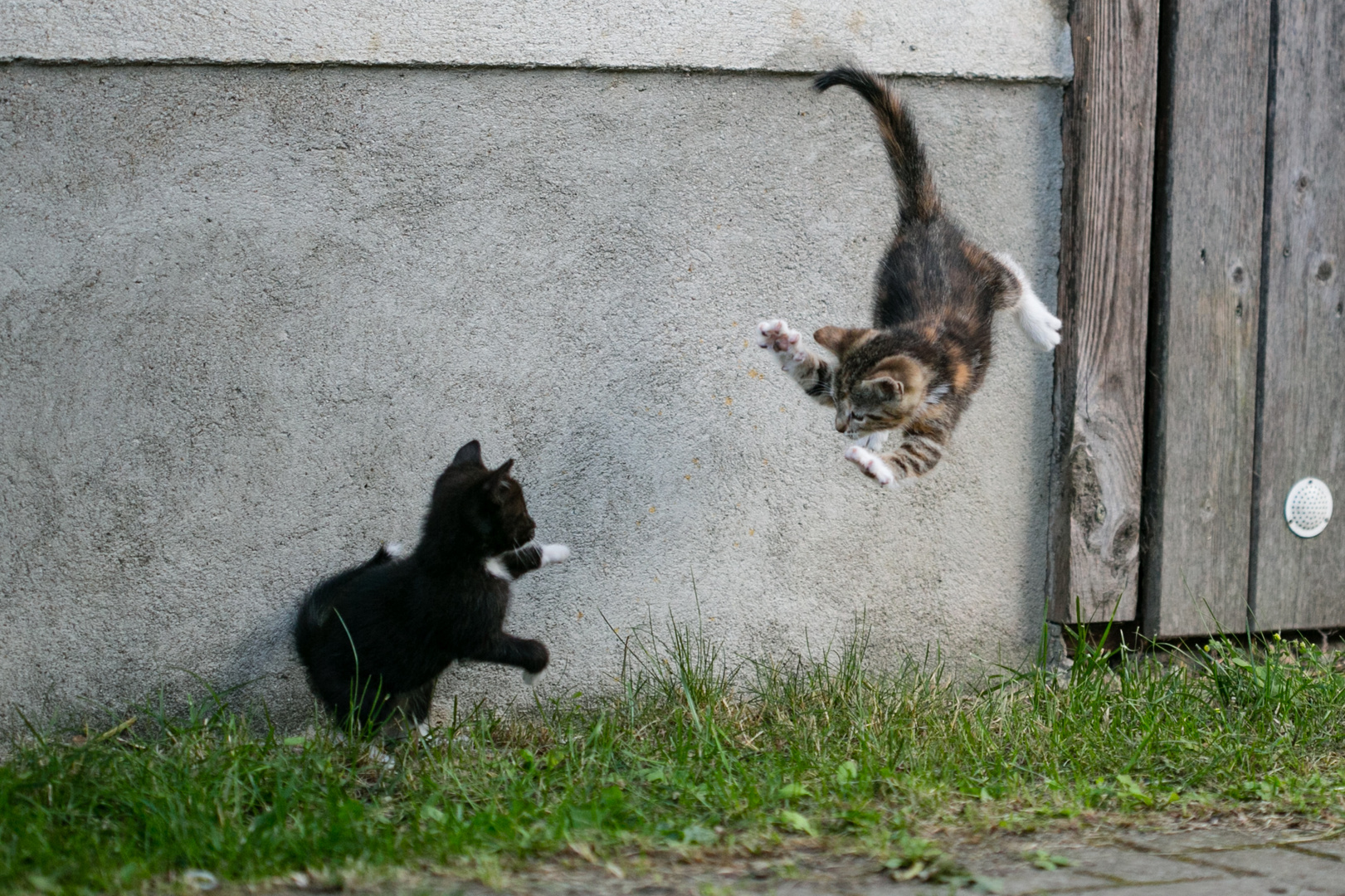 ...nur ein Katzensprung entfernt.