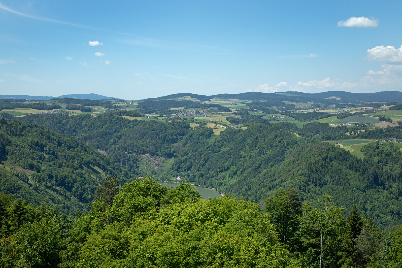 nur ein kleiner Donaublick