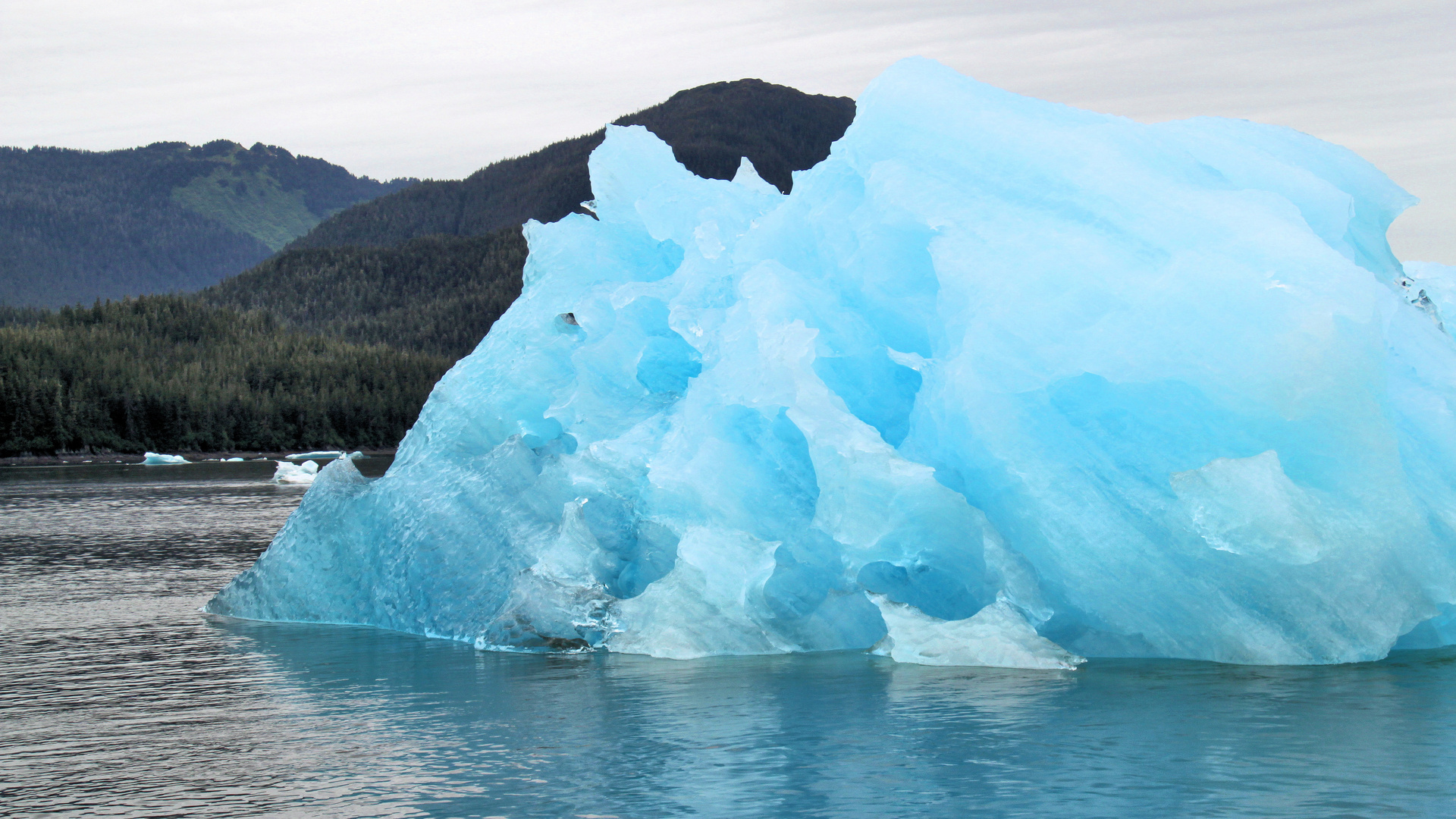 Nur ein kleiner Teil des Eisbergs, schaut aus dem Wasser