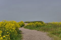 nur ein kleiner Weg