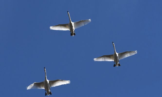 Nur ein kurzer Augenblick ...