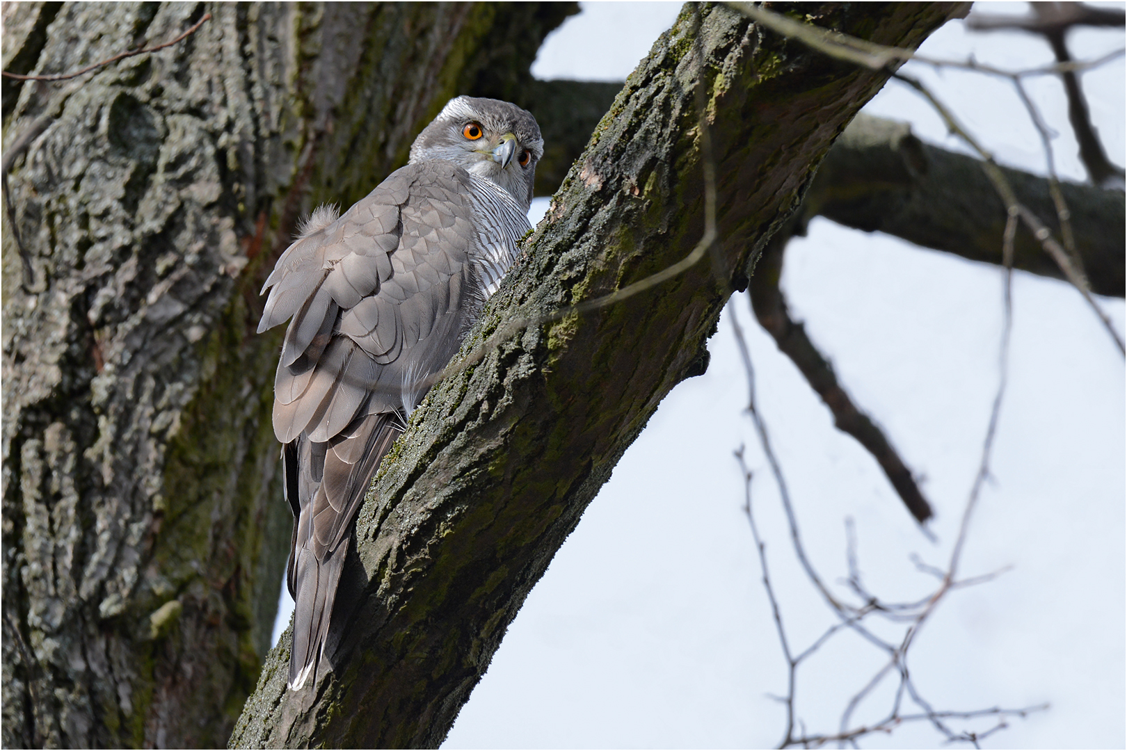 Nur ein kurzer Blick 