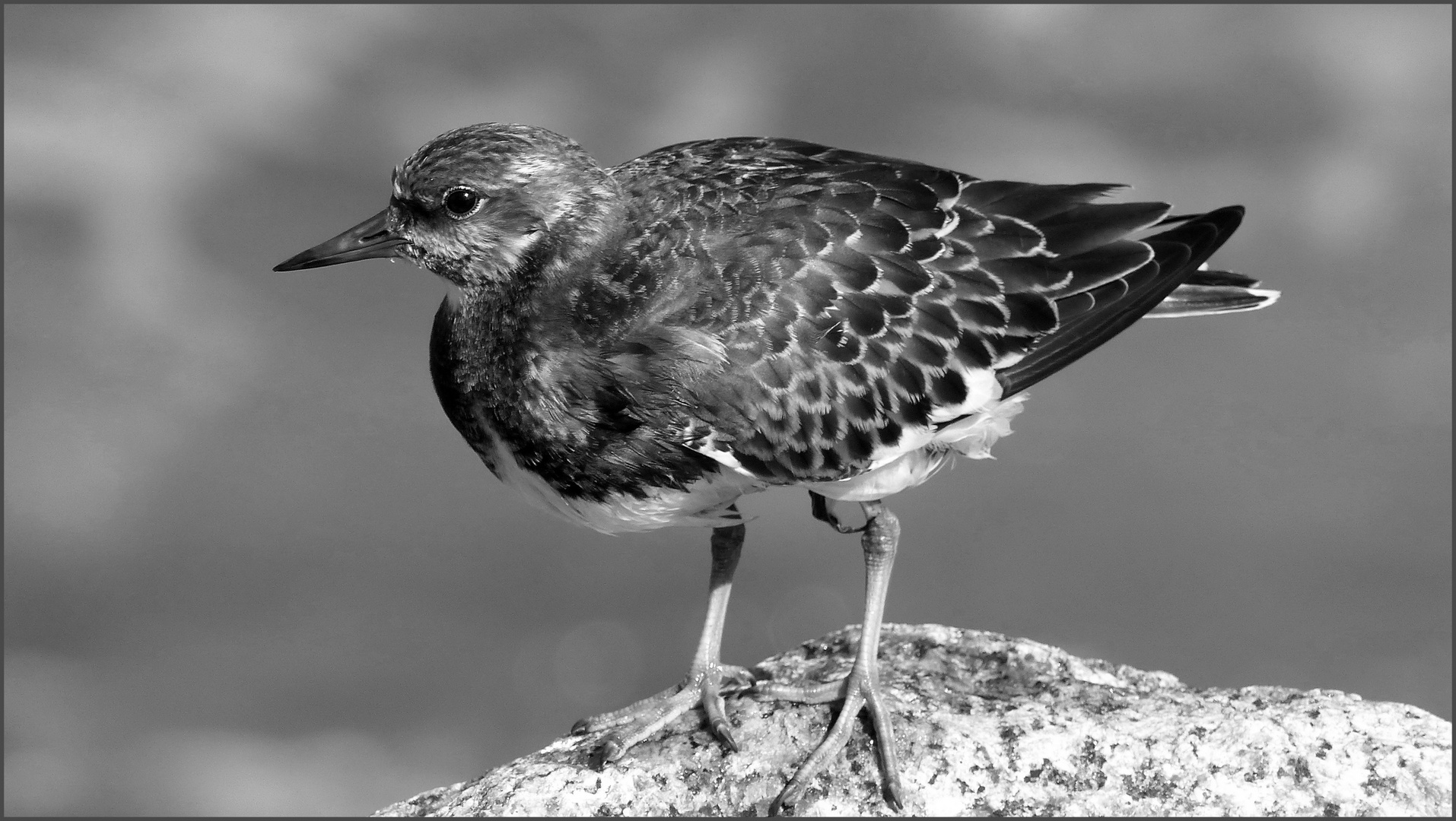 Nur ein kurzer Moment Foto & Bild world, spezial, sw Bilder auf