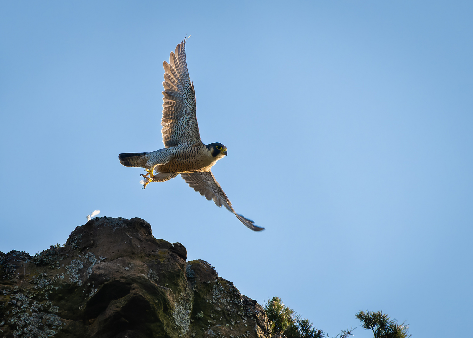 Nur ein kurzer Moment Foto & Bild fotos, spezial, dokumentation