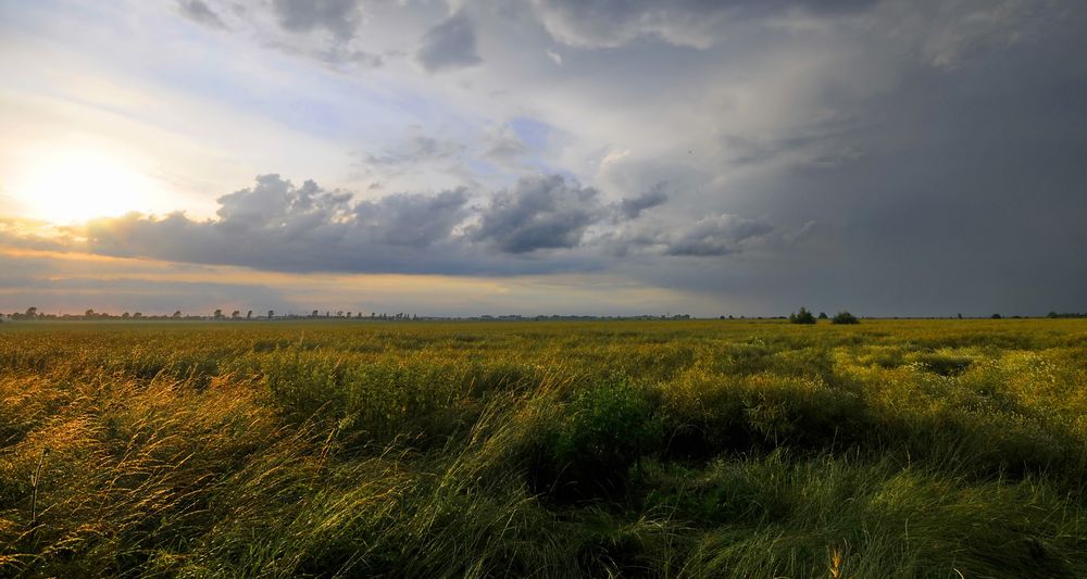 nur ein kurzes gewitter