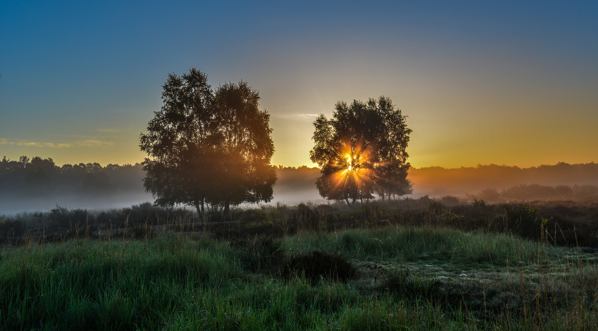 Nur ein Maimorgen