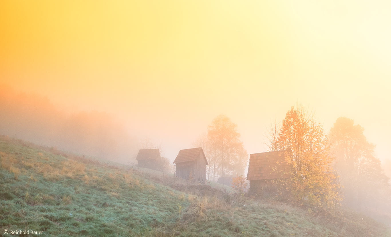 nur ein Moment im Herbst