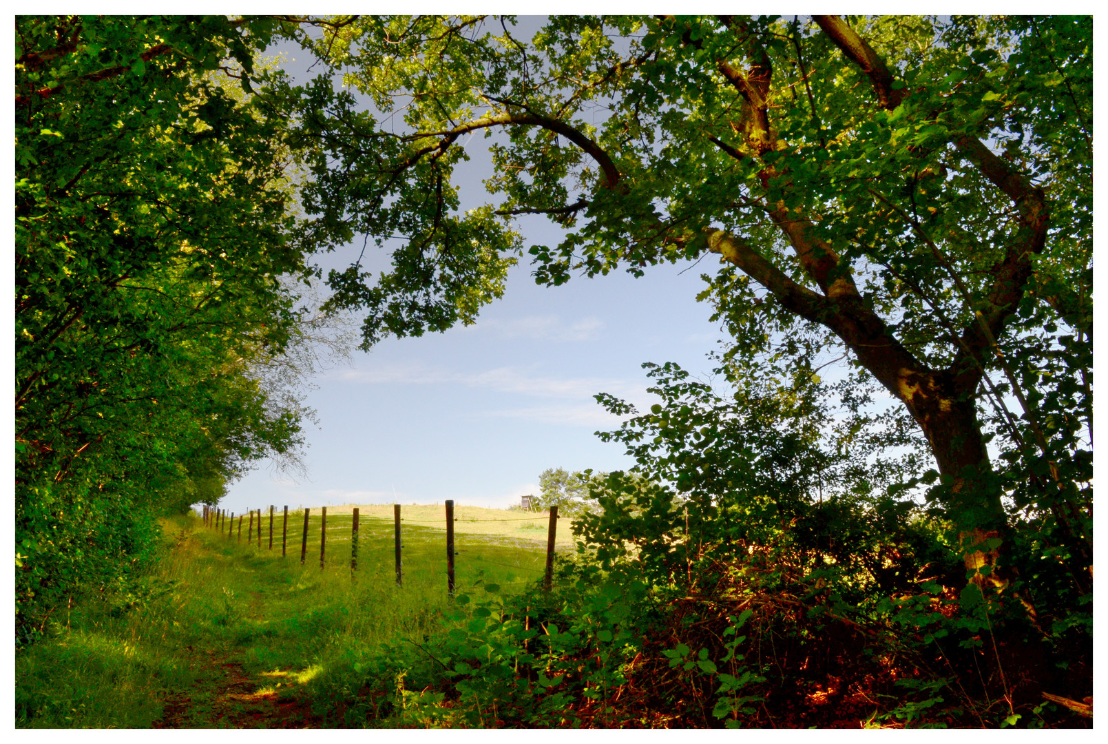 Nur ein Moment in der Eifel ...