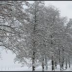 Nur ein paar Schritte weiter