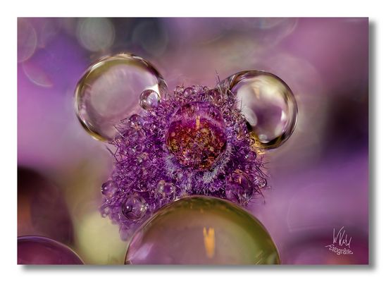 Nur ein paar Tropfen