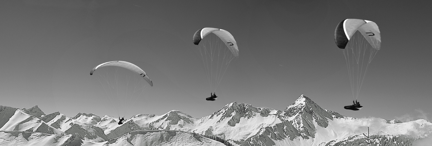 NUR EIN! Paraglider am Neunerköpfle