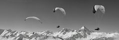 NUR EIN! Paraglider am Neunerköpfle
