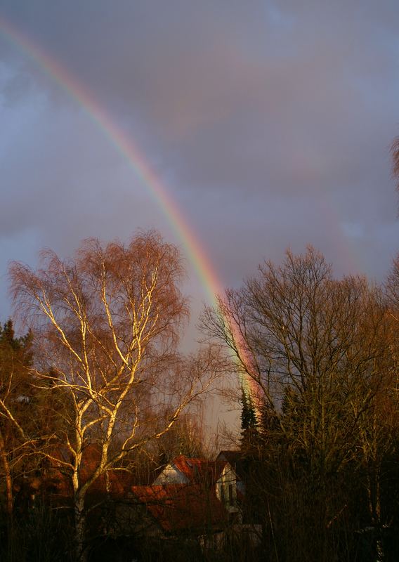 Nur ein Regenbogen...