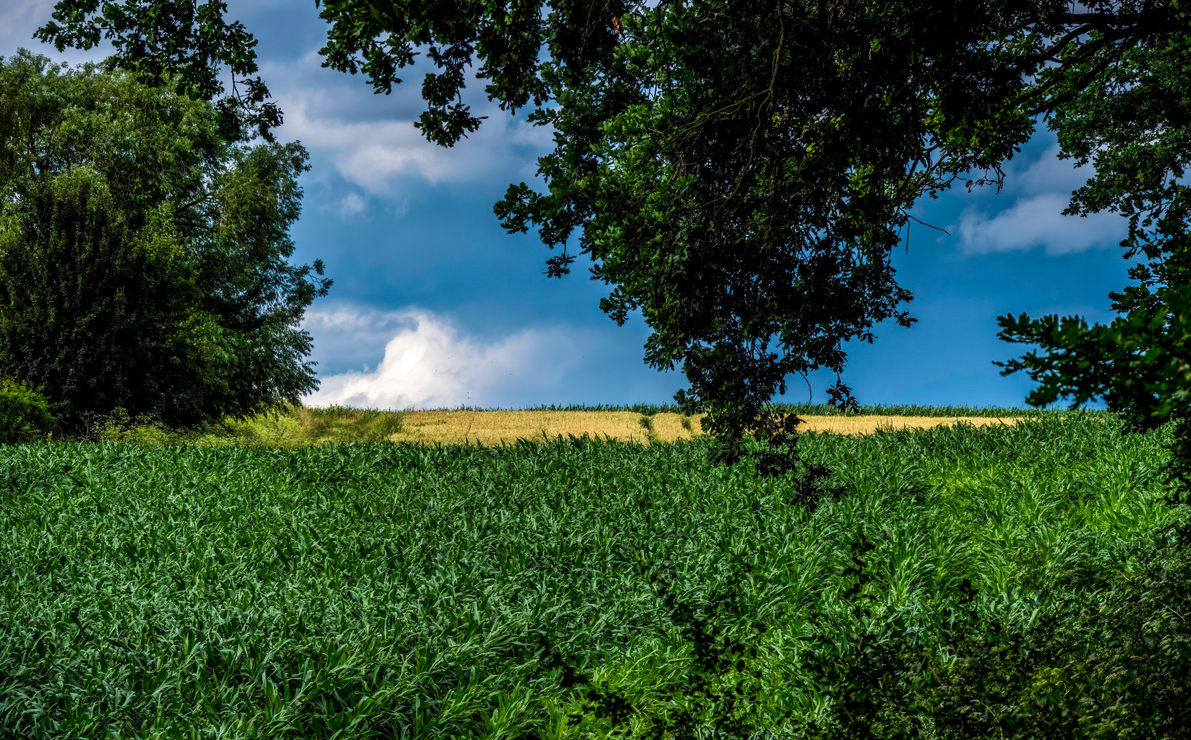 "nur ein schlichtes Landschaftsbild"