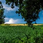 "nur ein schlichtes Landschaftsbild"