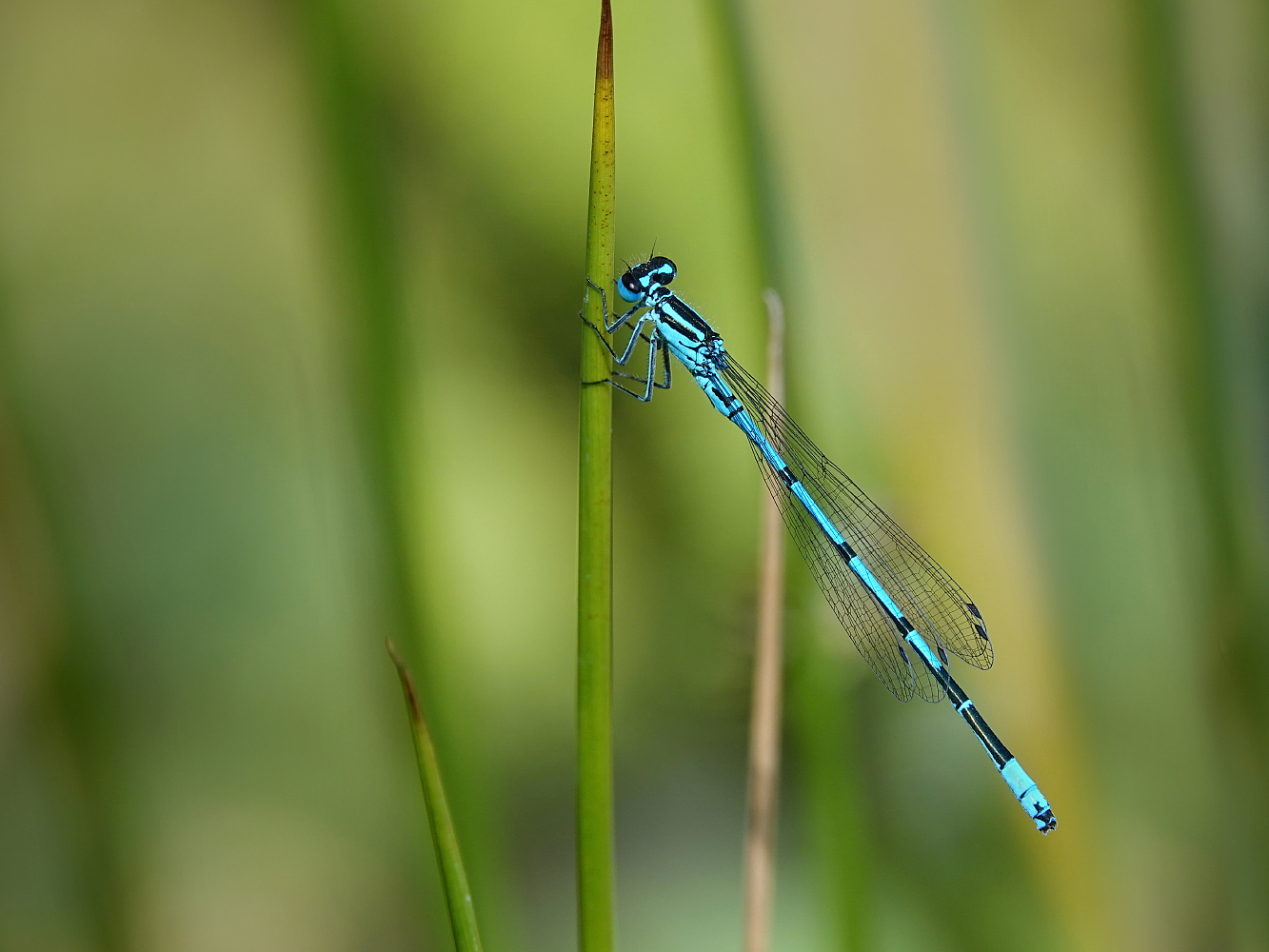 Nur ein schmaler blauer Streifen