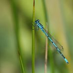 Nur ein schmaler blauer Streifen