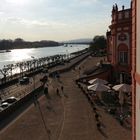 Nur ein schnelles Knipsbildchen von meinem Balkon... :-)