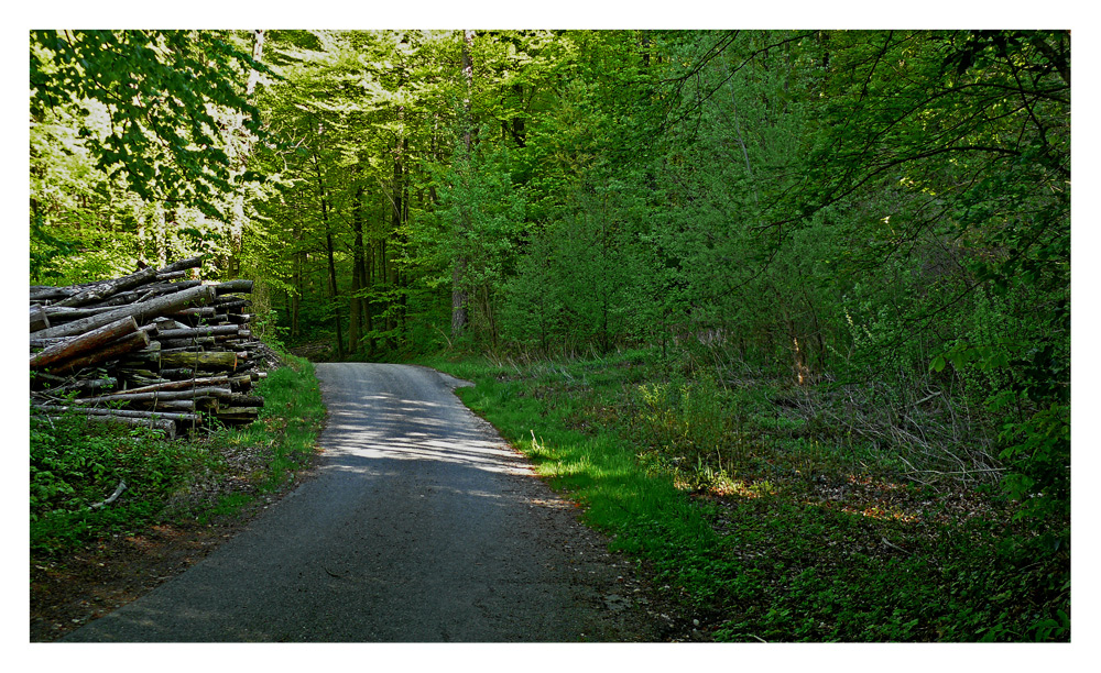 Nur ein 'simpler' Waldweg