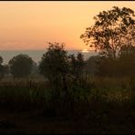 Nur ein Sonnenaufgang, langweilige Reisfeld-Landschaft. Keine Ahnung, warum ich es liebe.