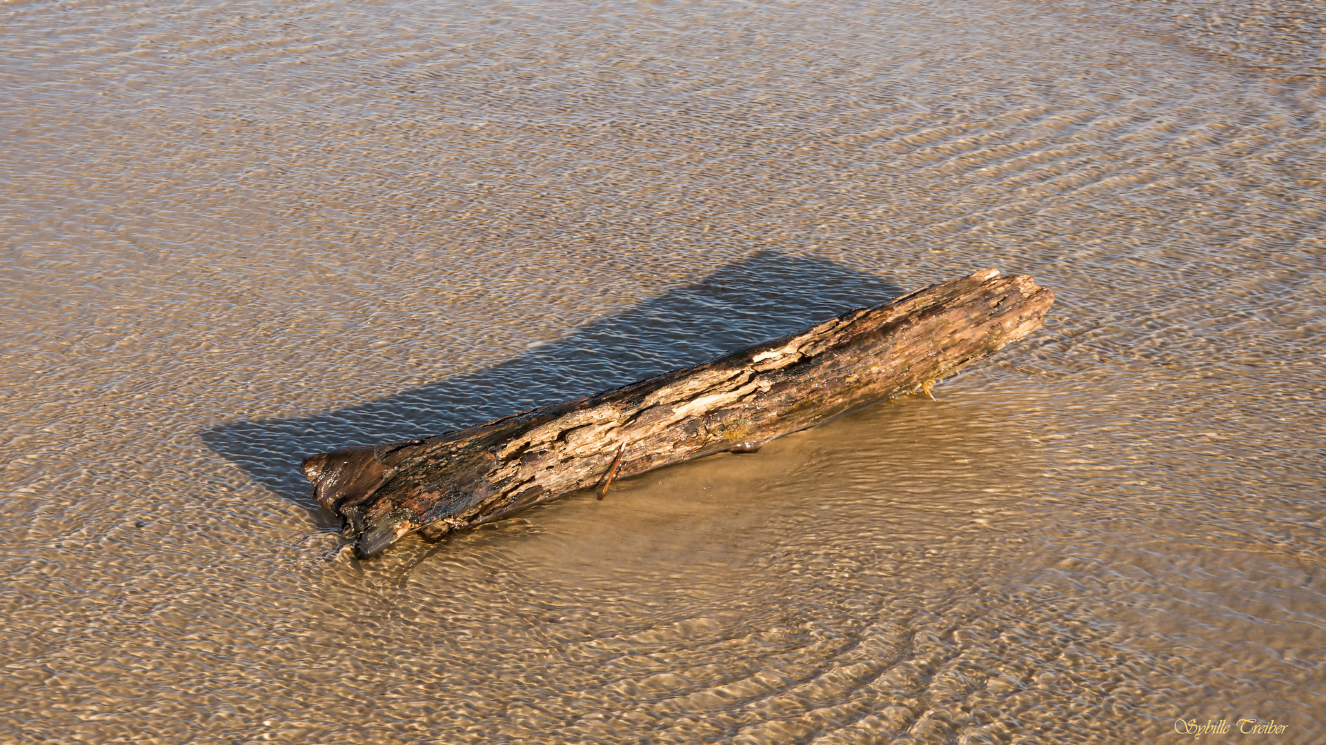 Nur ein Stück Holz