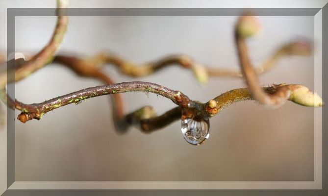 Nur ein Tropfen...