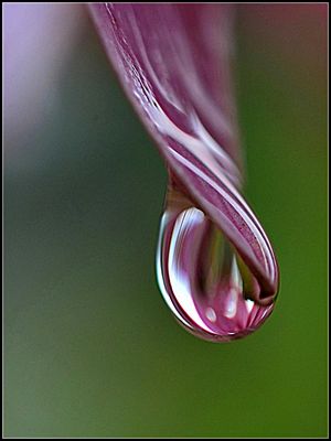 nur ein Wassertropfen