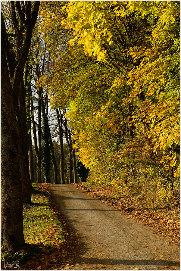 Nur ein Weg