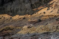 Nur eine Felswand  5.                  DSC_8350-