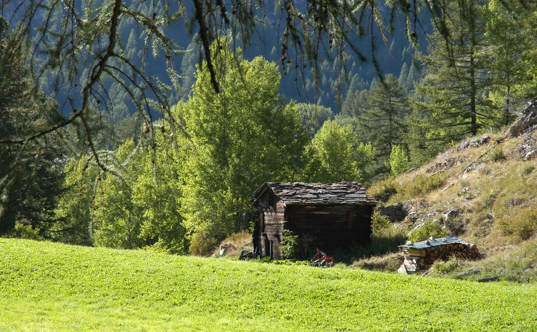 Nur eine Hütte im Wallis