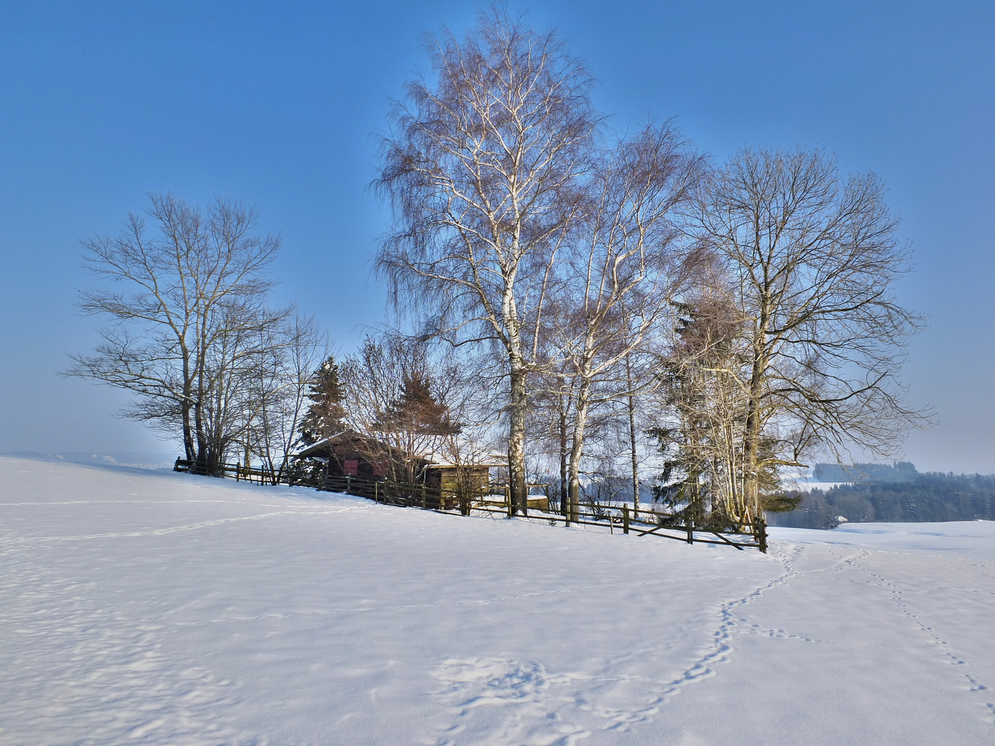 Nur eine Hütte in der Landschaft