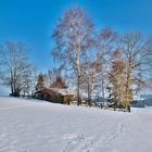 Nur eine Hütte in der Landschaft