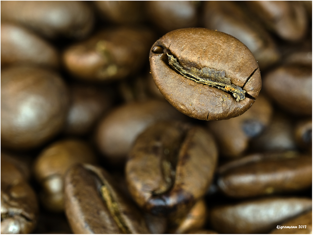 Nur Eine Kaffeebohne Foto Bild Stillleben Tabletop Makros Bilder Auf Fotocommunity