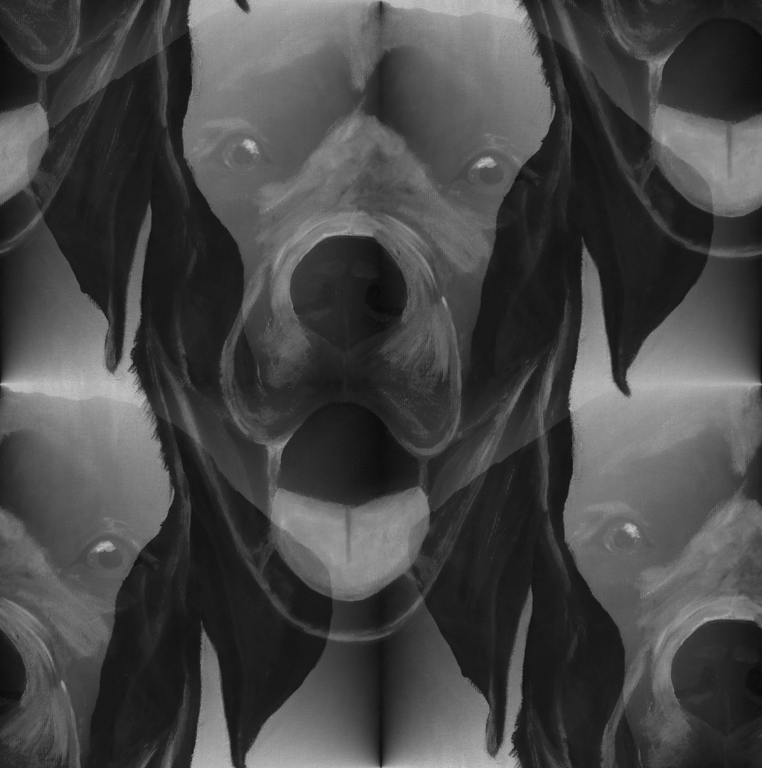 Nur Eine Optische Tauschung Foto Bild Bearbeitungs Techniken Digitale Gemalde Diggi Kunst Bilder Auf Fotocommunity