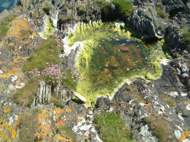 nur eine Pfütze am Dunboy Castle