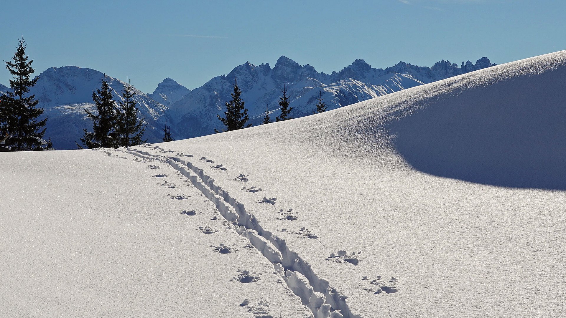 nur eine Skispur