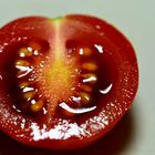 Nur eine Tomate