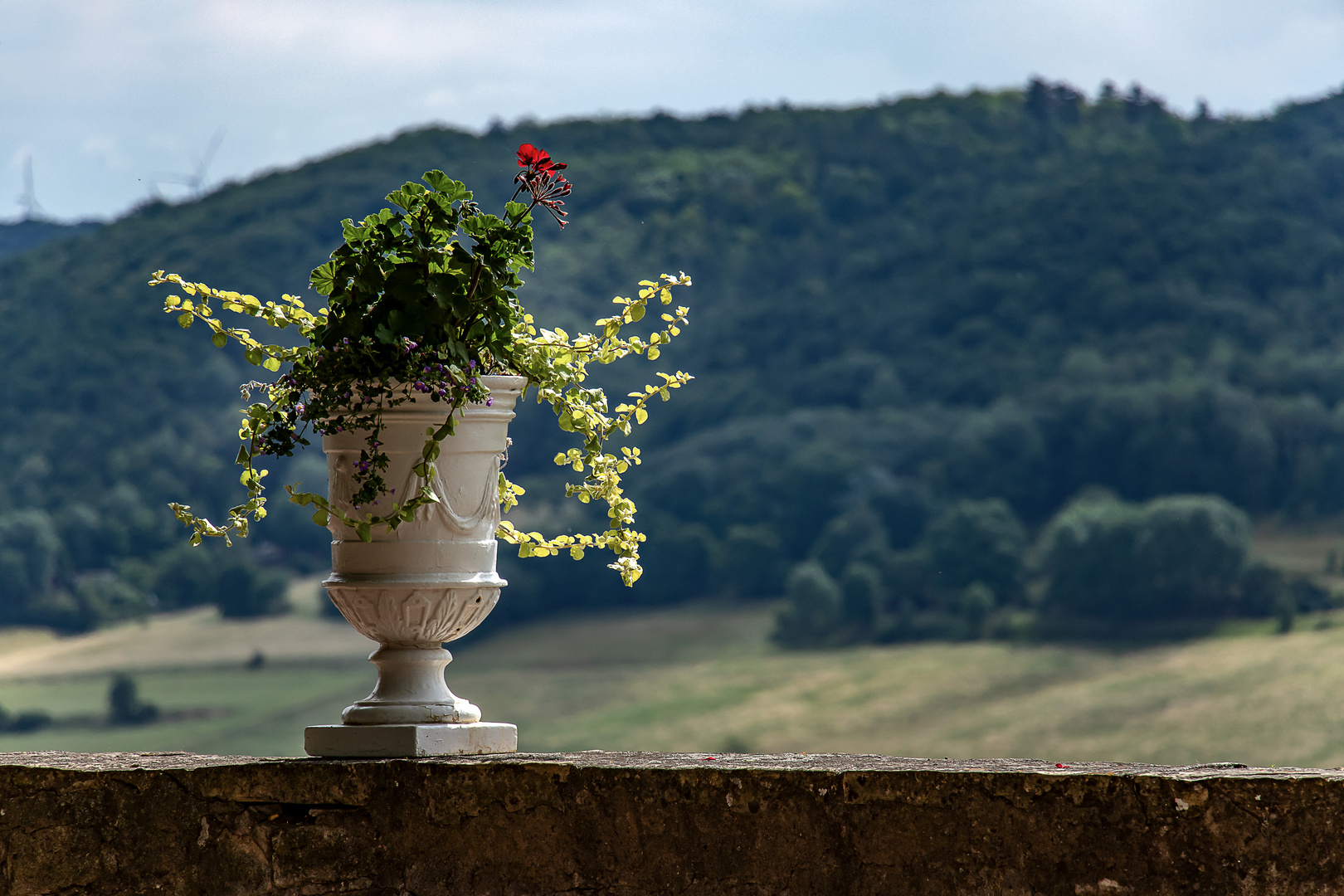 ... nur eine Vase ...