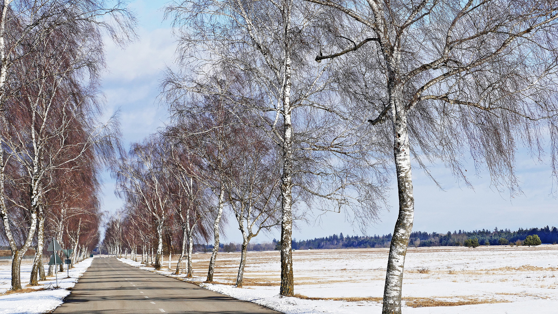 nur eine winterlandschaft ...