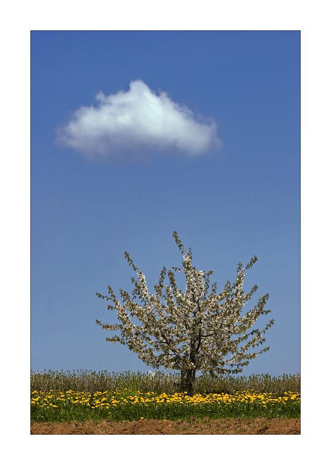 nur eine Wolke ...