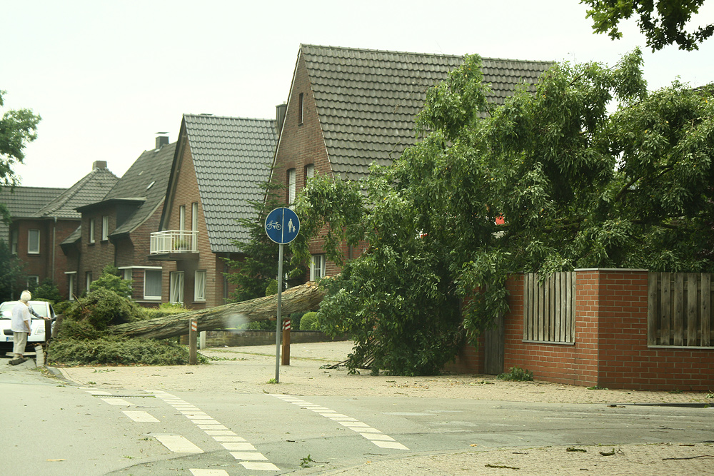 "Nur einer von ganz vielen......... "